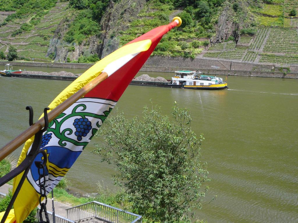 Mosel-Landhaus Am Moselufer B&B Briedern Kültér fotó