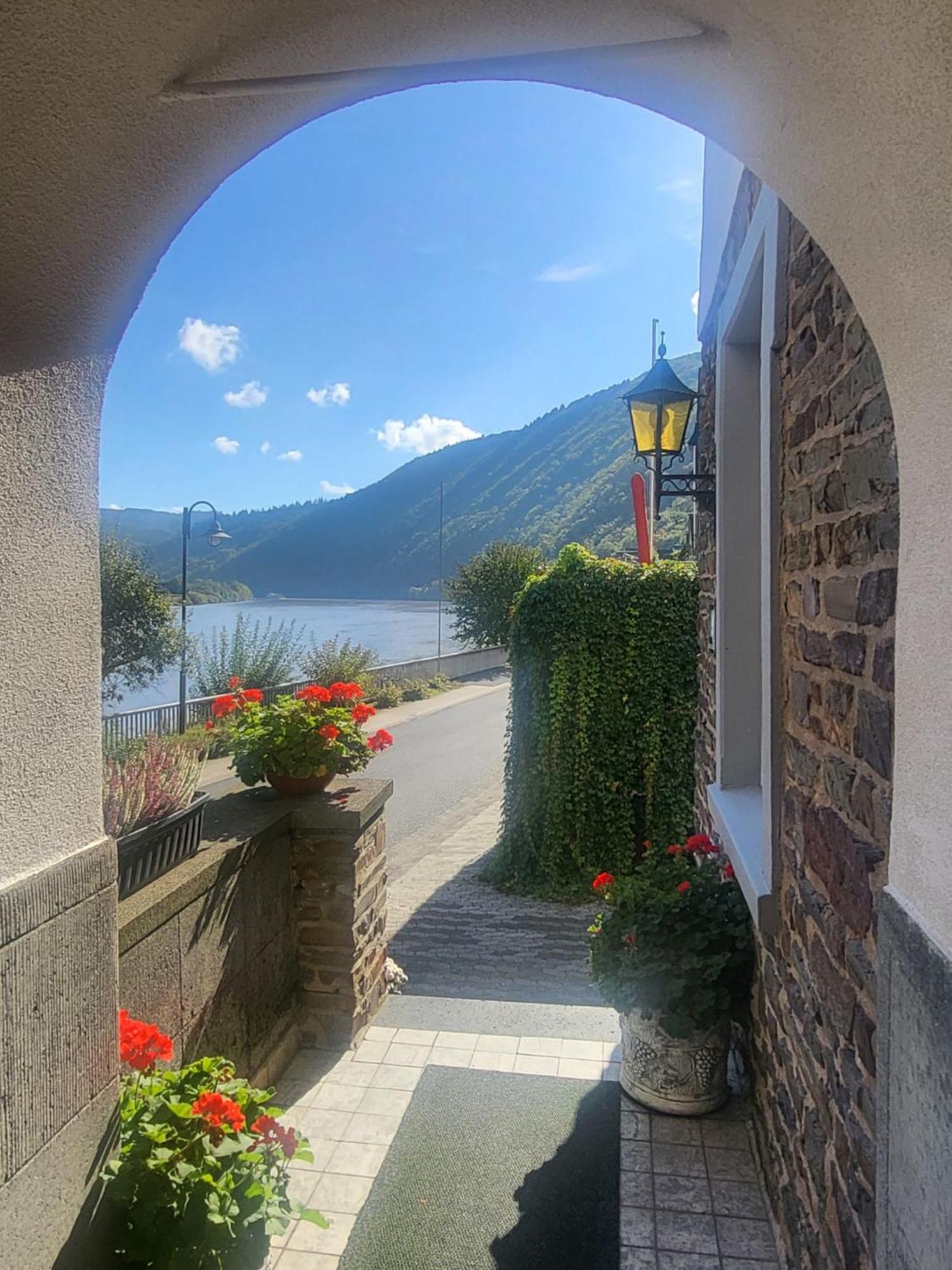 Mosel-Landhaus Am Moselufer B&B Briedern Kültér fotó