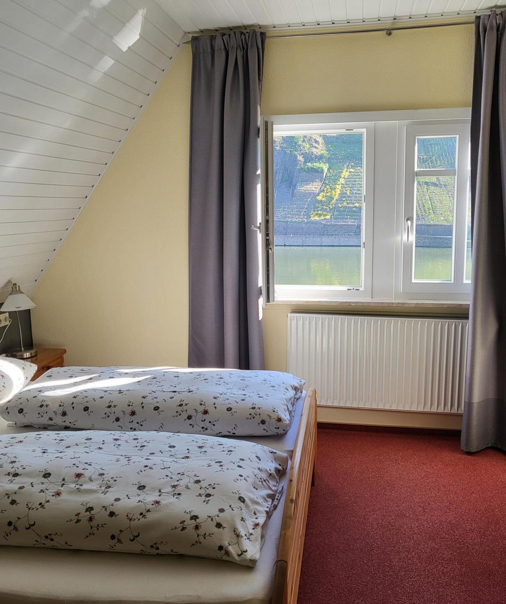 Mosel-Landhaus Am Moselufer B&B Briedern Kültér fotó
