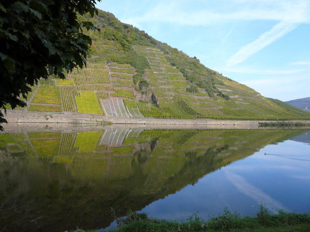 Mosel-Landhaus Am Moselufer B&B Briedern Kültér fotó